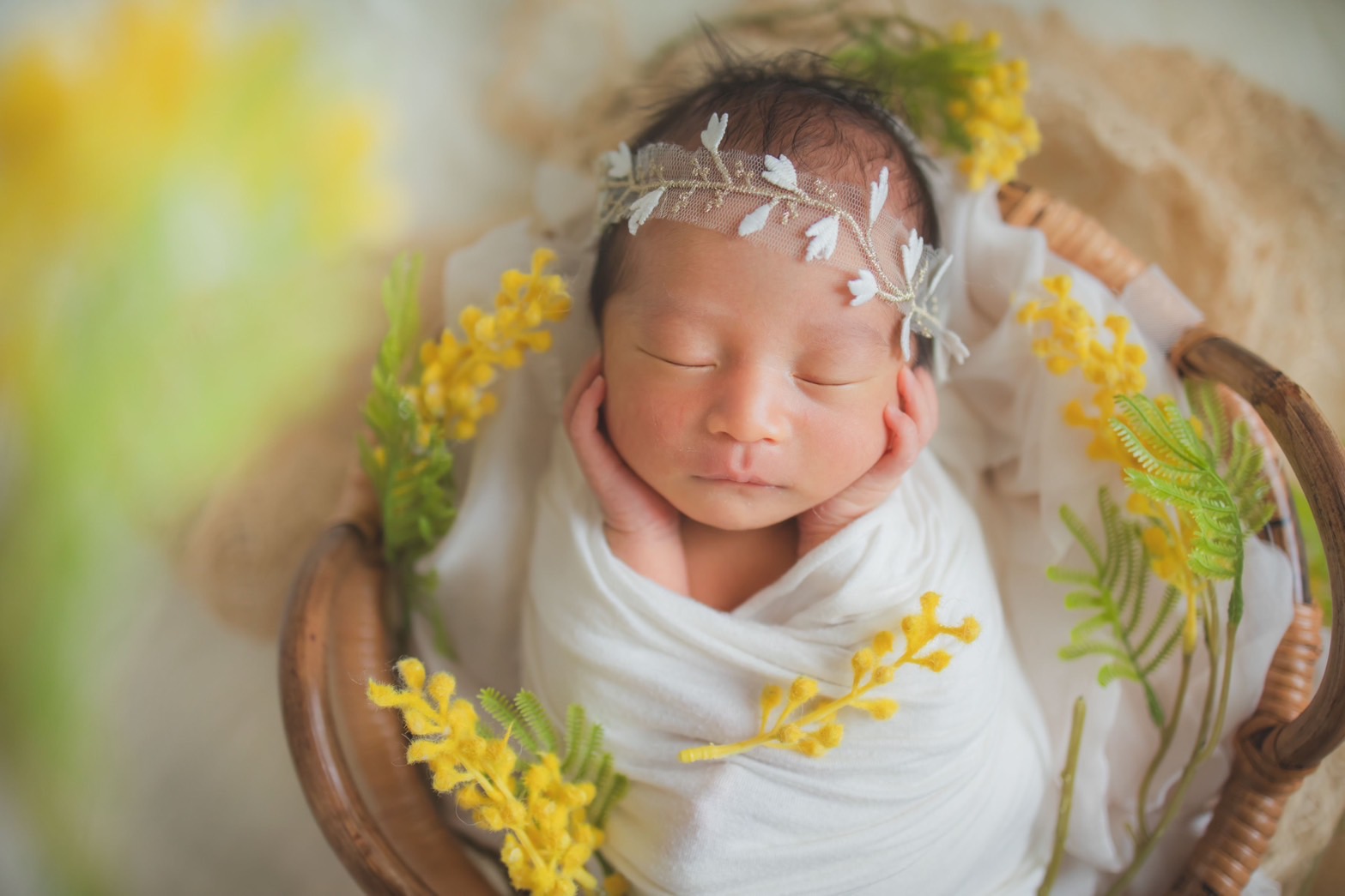 ミモザの花に囲まれたかごの中で眠る新生児