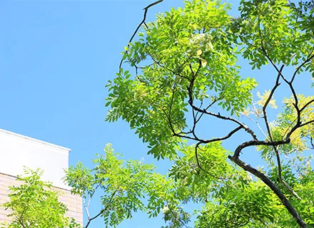 外観 2